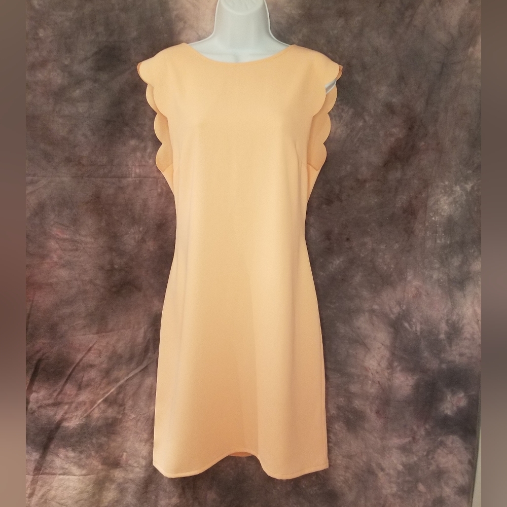 EVERLY Large Apricot Shift Dress